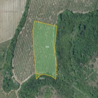 Prodej zemědělské půdy 90 608 m² Děčany Solany