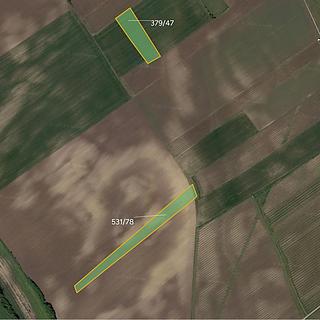 Prodej zemědělské půdy 16494 m&sup2; Nový Poddvorov