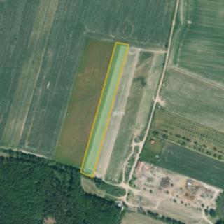 Prodej zemědělské půdy 8 716 m² Všesulov