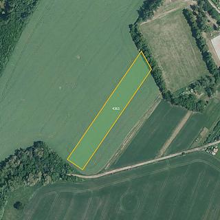 Prodej zemědělské půdy 3 903 m² Lukovany