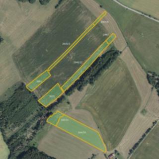Prodej zemědělské půdy 21366 m² Habry