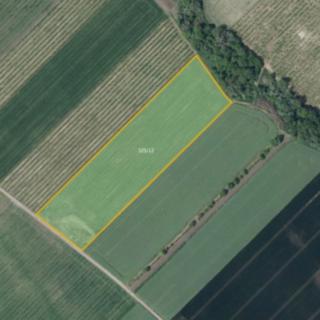 Prodej zemědělské půdy 21043 m² Želkovice