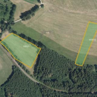Prodej louky 11655 m² Pustá Kamenice