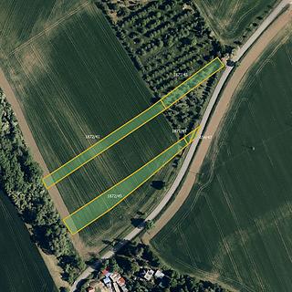 Prodej zemědělské půdy 3 422 m² Morkovice-Slížany Morkovice