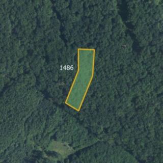 Prodej lesa 2593 m² Brumovice