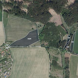 Prodej zemědělské půdy 59 764 m² Číhošť Tunochody