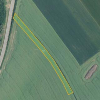 Prodej zemědělské půdy 11 333 m² Křoví