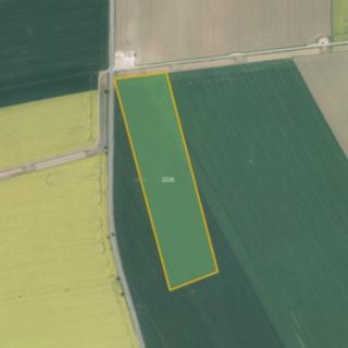 Prodej zemědělské půdy 16 894 m² Mořice