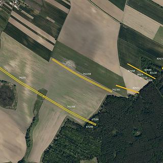 Prodej zemědělské půdy 18 279 m² Skoronice