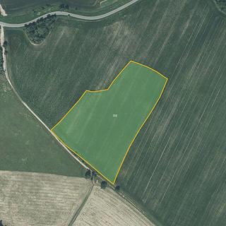 Prodej zemědělské půdy 28 724 m² Nové Lublice