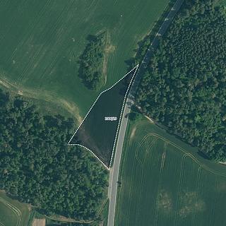 Prodej zemědělské půdy 11 261 m² Velký Bor
