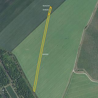 Prodej zemědělské půdy 3 169 m² Čejkovice