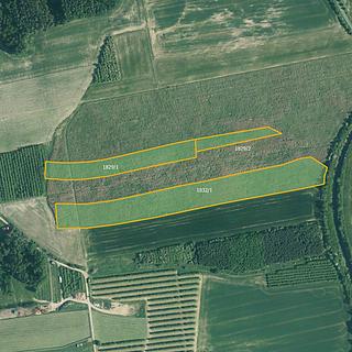 Prodej ostatních pozemků 34791 m² Radnice