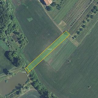 Prodej zemědělské půdy 1804 m² Starý Poddvorov