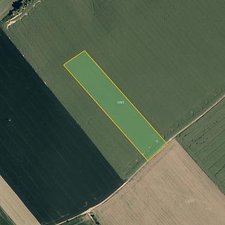 Prodej zemědělské půdy 4997 m&sup2; Šelešovice