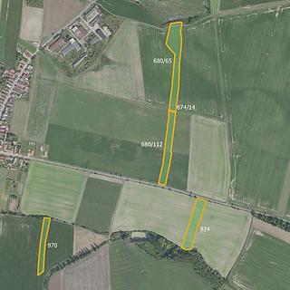 Prodej zemědělské půdy 17054 m² Městec Králové