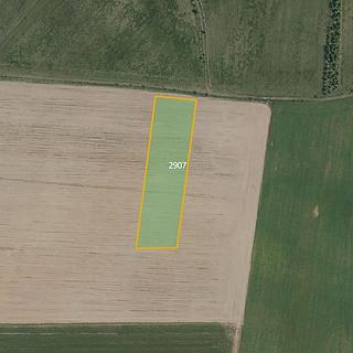 Prodej zemědělské půdy 10 959 m² Ronov nad Doubravou