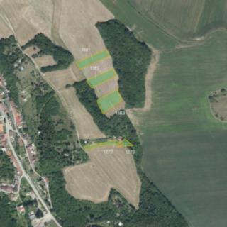 Prodej zemědělské půdy 22 512 m² Plumlov Hamry
