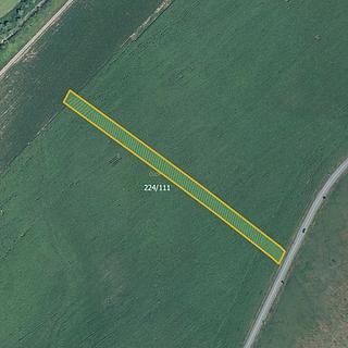 Prodej zemědělské půdy 5446 m² Skoronice