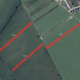 Prodej zemědělské půdy 63 840 m² Nový Poddvorov