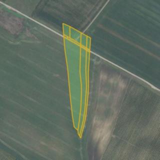 Prodej zemědělské půdy 8634 m² Prušánky