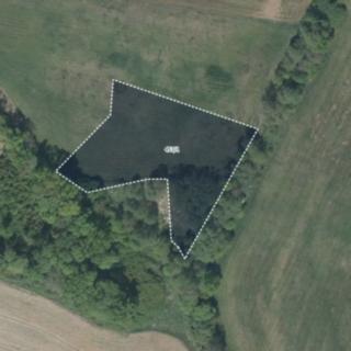 Prodej louky 4 424 m² Lázně Bělohrad