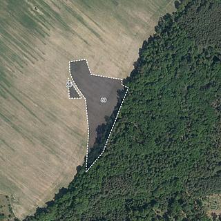 Prodej zemědělské půdy 8 621 m² Morašice