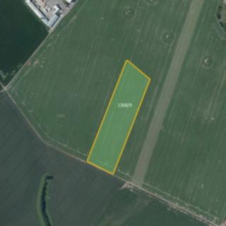 Prodej zemědělské půdy 9 991 m² Litovel