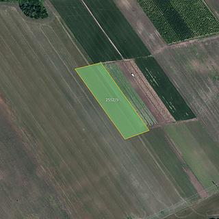 Prodej zemědělské půdy 20968 m&sup2; Lednice