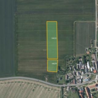 Prodej zemědělské půdy 11084 m² Lužice