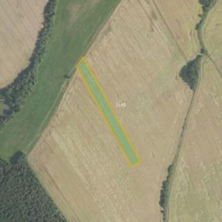 Prodej zemědělské půdy 11 602 m² Podluhy