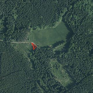 Prodej zemědělské půdy 3785 m² Holubov