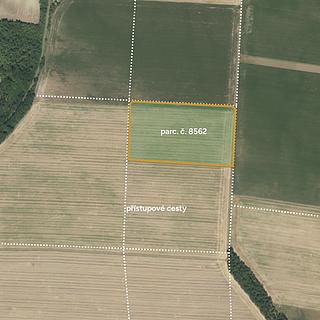 Prodej zemědělské půdy 25 279 m² Břežany