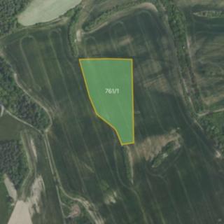 Prodej zemědělské půdy 8891 m² Cetyně
