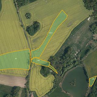 Prodej zemědělské půdy 34 596 m² Svídnice