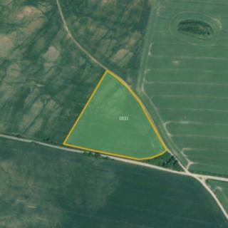 Prodej zemědělské půdy 7 450 m² Čistá