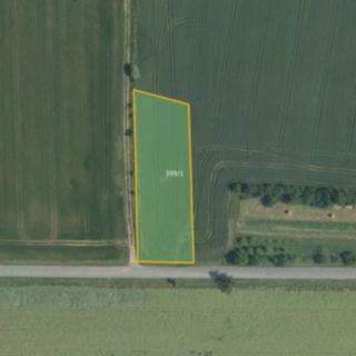 Prodej zemědělské půdy 654 m² Senička