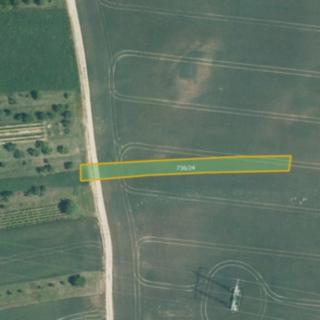 Prodej zemědělské půdy 8 629 m² Kyjov Nětčice