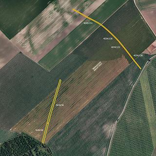 Prodej zemědělské půdy 8 678 m² Čejkovice