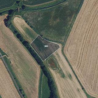 Prodej louky 8 040 m² Městečko Trnávka Lázy