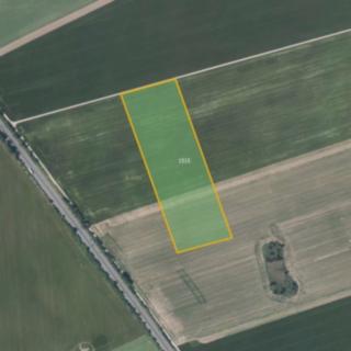 Prodej zemědělské půdy 25 616 m² Moravičany