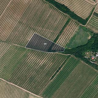 Prodej zemědělské půdy 12133 m&sup2; Nový Šaldorf-Sedlešovice