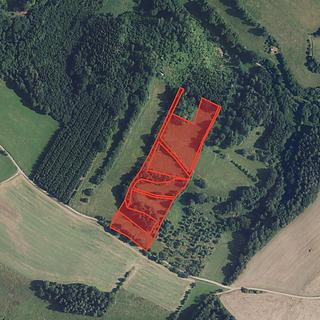 Prodej louky 22 157 m² Zábřeh Václavov