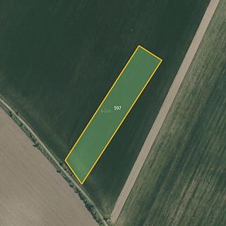 Prodej zemědělské půdy 9812 m&sup2; Bezděkov