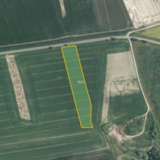 Prodej zemědělské půdy 5 212 m² Myslejovice
