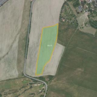Prodej zemědělské půdy 30 706 m² Líšnice