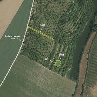 Prodej ostatních pozemků 1342 m² Lovčice