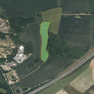 Prodej louky 25956 m&sup2; Starý Plzenec