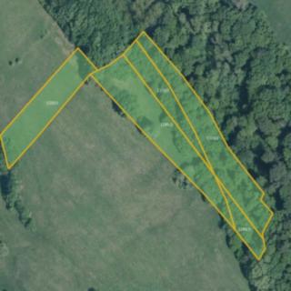 Prodej louky 10 452 m² Velký Ořechov