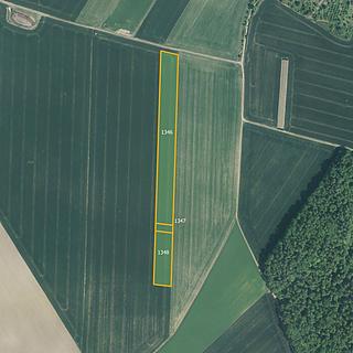 Prodej zemědělské půdy 24141 m² Počenice-Tetětice